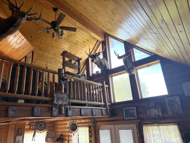 Vaulted wood-paneled ceilings with exposed beams
