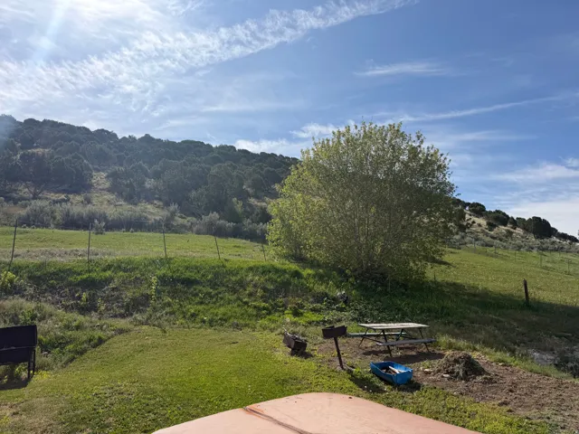 Expansive outdoor area featuring varied terrain, a hillside with abundant trees, and a clear sky overhead