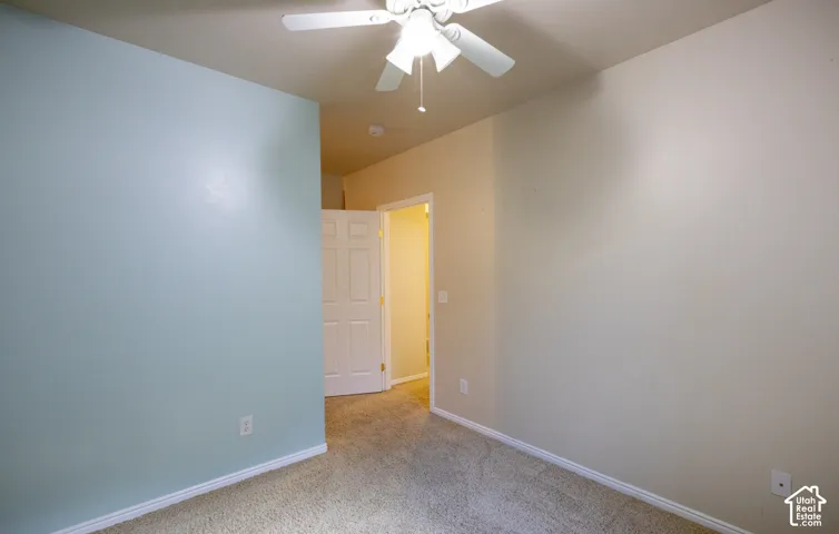 Carpeted flooring with painted walls