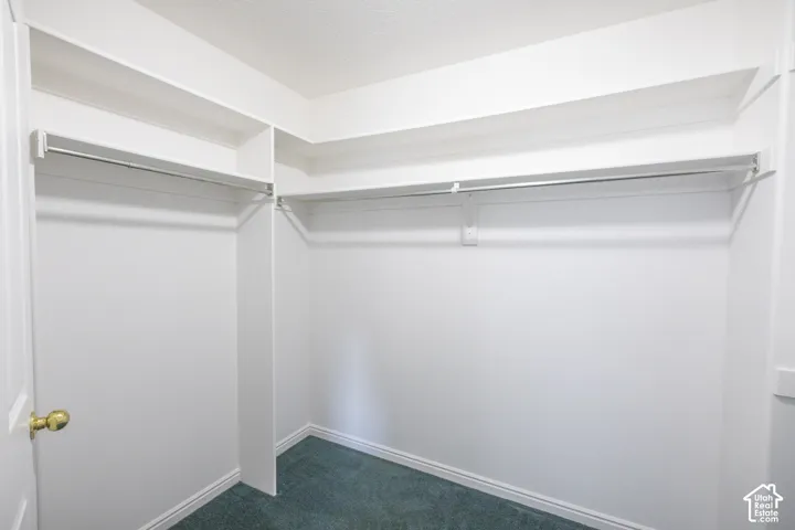 Spacious walk-in closet featuring dual clothing rods, multiple shelving units, and ample storage capacity with neutral painted walls and carpeted flooring