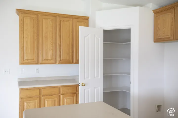 Light wood cabinetry, light countertop, and a walk-in pantry with shelving