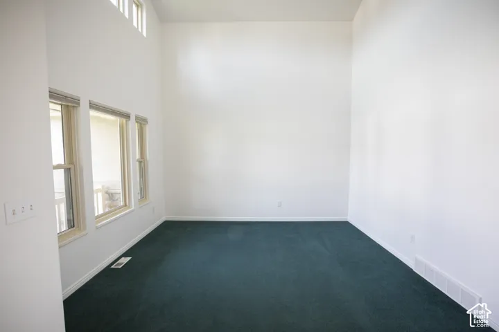 High ceilings with transom windows, white walls, and a deep green carpeted floor