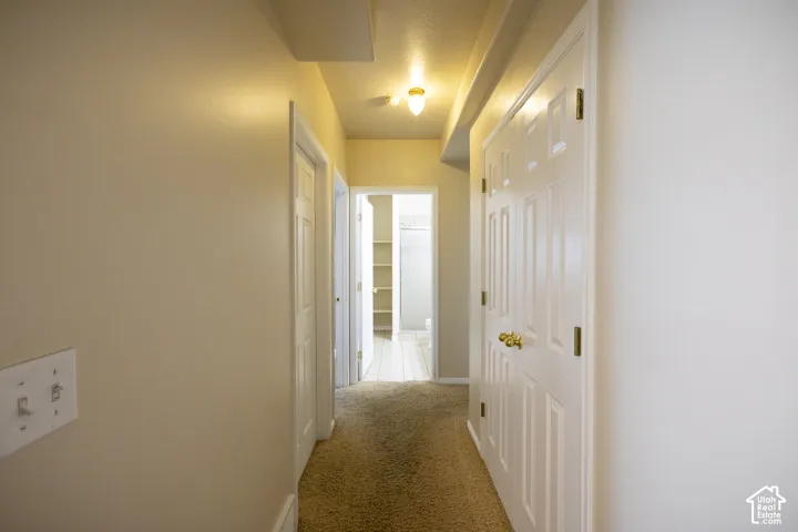 Hallway with carpet flooring, light-toned walls, and multiple paneled doors