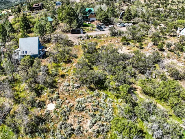 Sloped terrain with established trees and natural vegetation