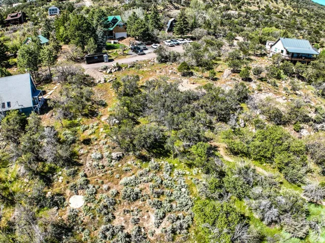 Expansive hillside property featuring diverse natural vegetation and a visible access road