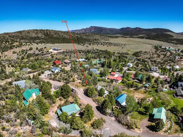 Expansive undeveloped lot featuring natural vegetation, surrounded by mature trees and other residences