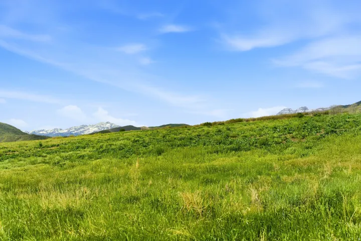 Expansive green hillside with distant mountain scenery