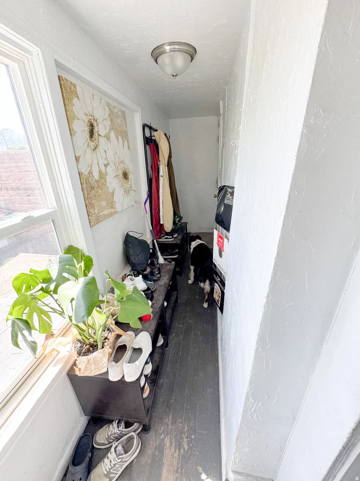 Narrow hall with wood-finish flooring, white painted walls, and a window providing natural light