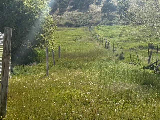 Location of the access egress 60' to the 10.78 acres