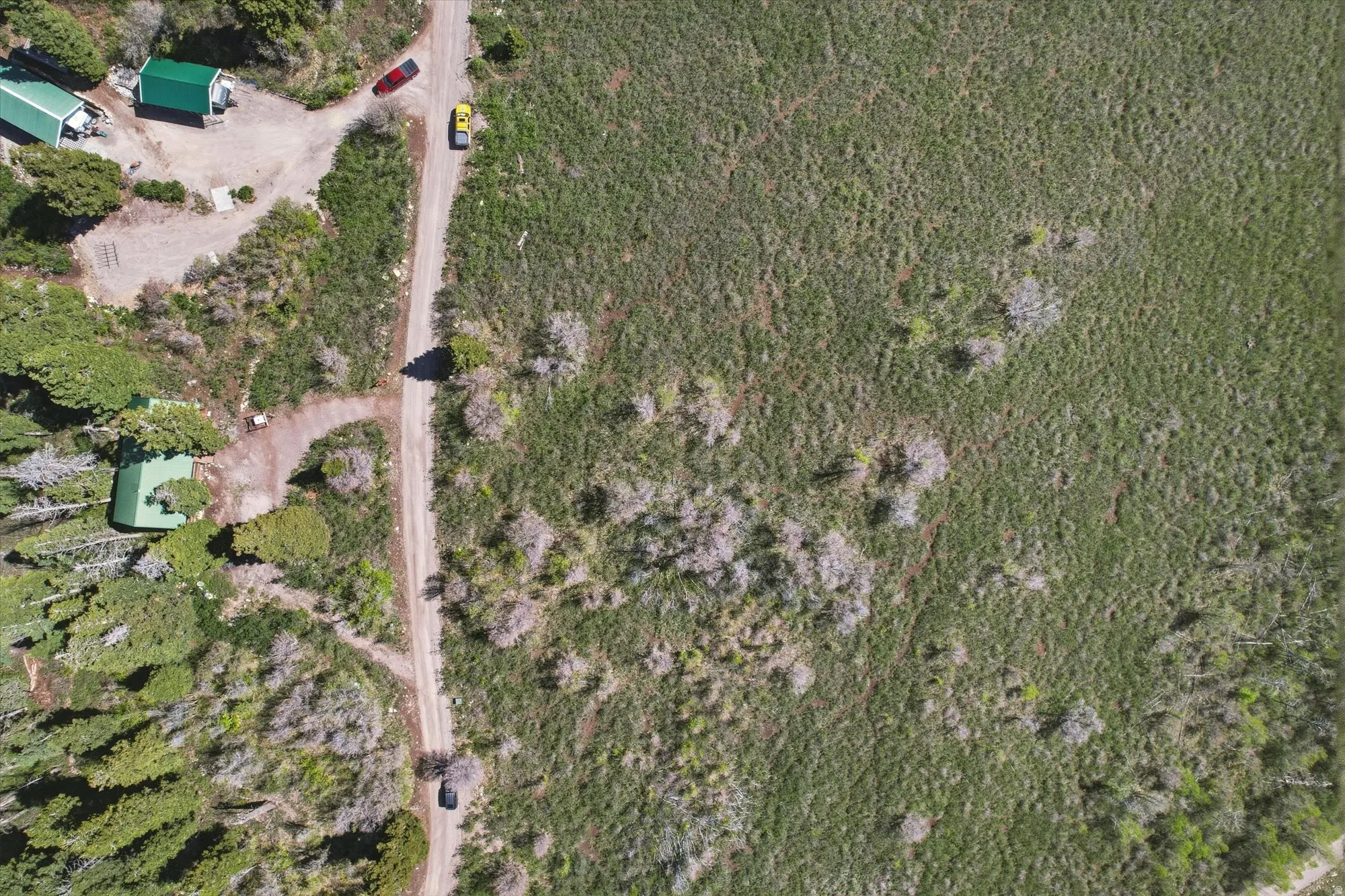Expansive natural landscape featuring a winding unpaved road, two structures with green roofs, and abundant natural foliage