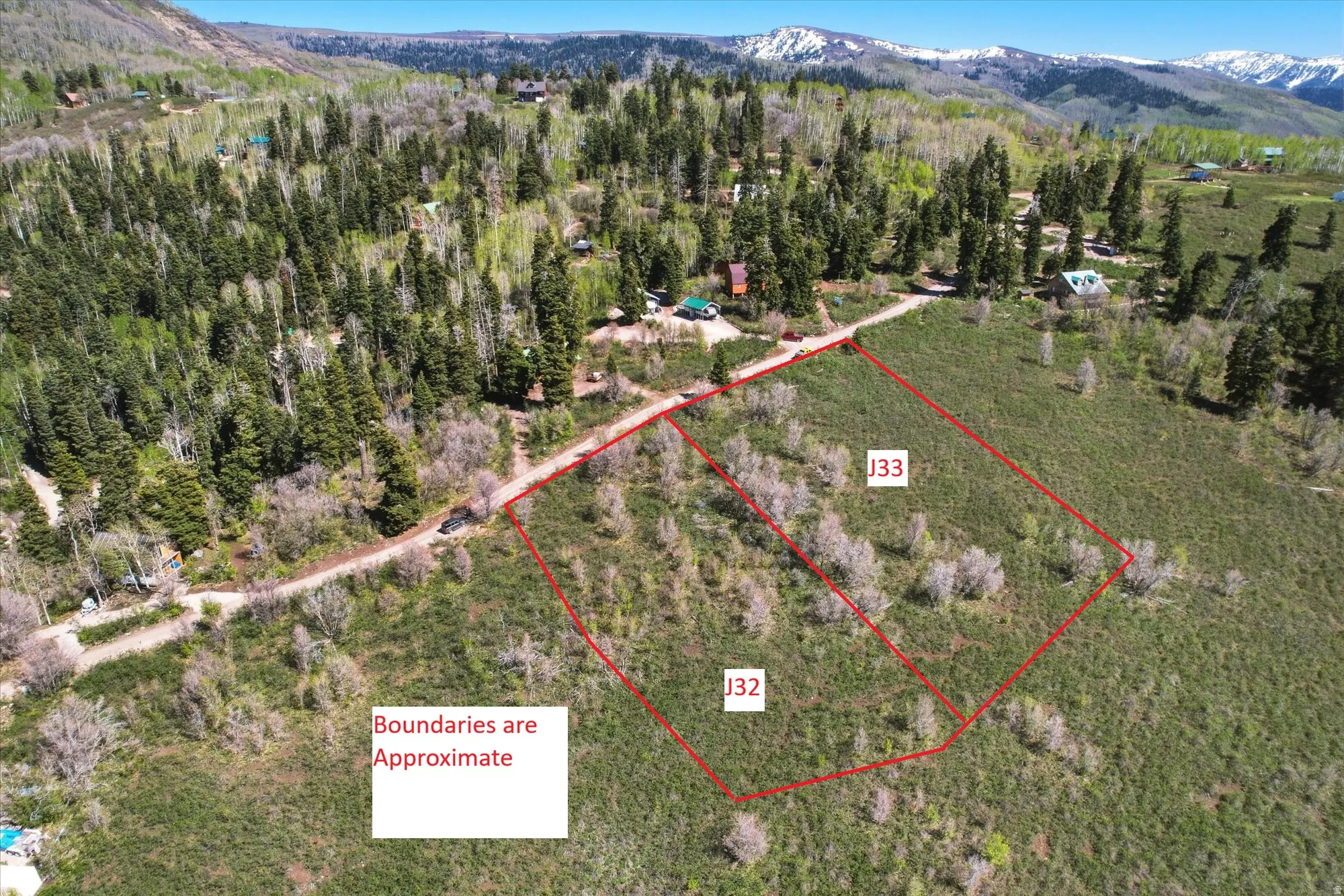 Expansive wooded and grassy land parcels with natural slopes, featuring distant snow-capped mountains and a surrounding forest canopy