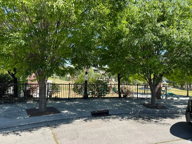 Sidewalk with mature trees and tree grates, bordering a black metal fence