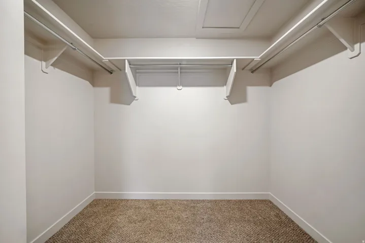 Primary bedroom walk-in closet featuring carpet flooring, built-in shelving, and hanging rods