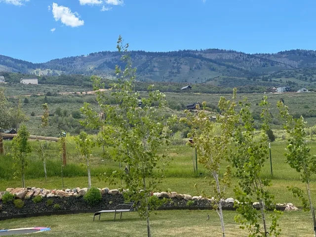 Expansive green space featuring a manicured lawn, established trees, and a low stone retaining wall