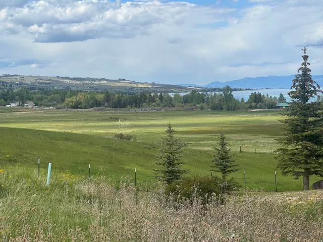 Expansive natural landscape featuring distant water, undulating hills, and mature trees