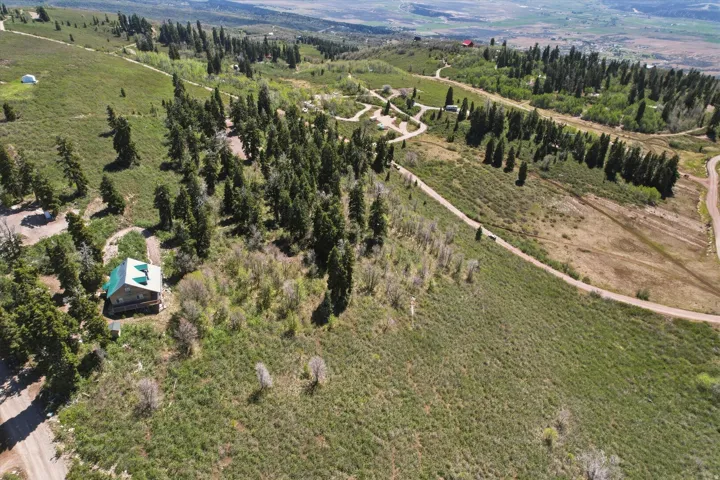 Expansive mountain property featuring a cabin with a green roof, surrounded by mature evergreen and deciduous trees