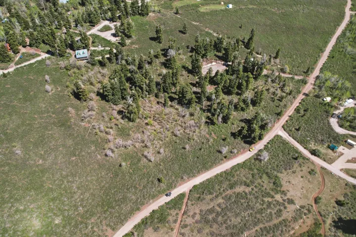 Expansive land featuring natural terrain with scattered trees and vegetation