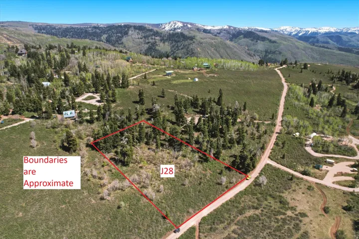 Expansive undeveloped land featuring a mix of mature trees and open grassy areas