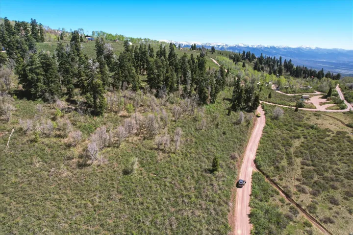 Expansive mountain landscape featuring varied terrain, a winding unpaved road, mature evergreen trees, and distant snow-capped peaks under a clear blue sky