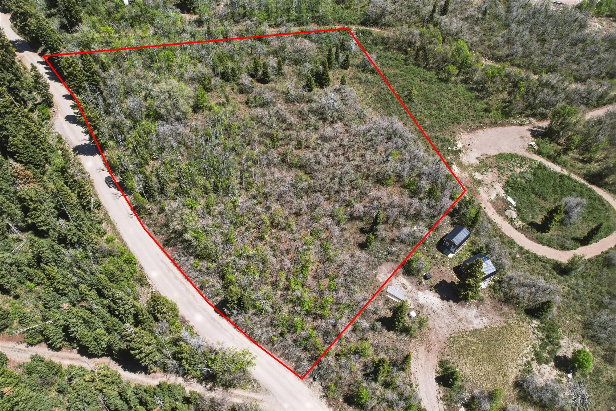Expansive wooded lot featuring a gently sloping terrain and natural vegetation