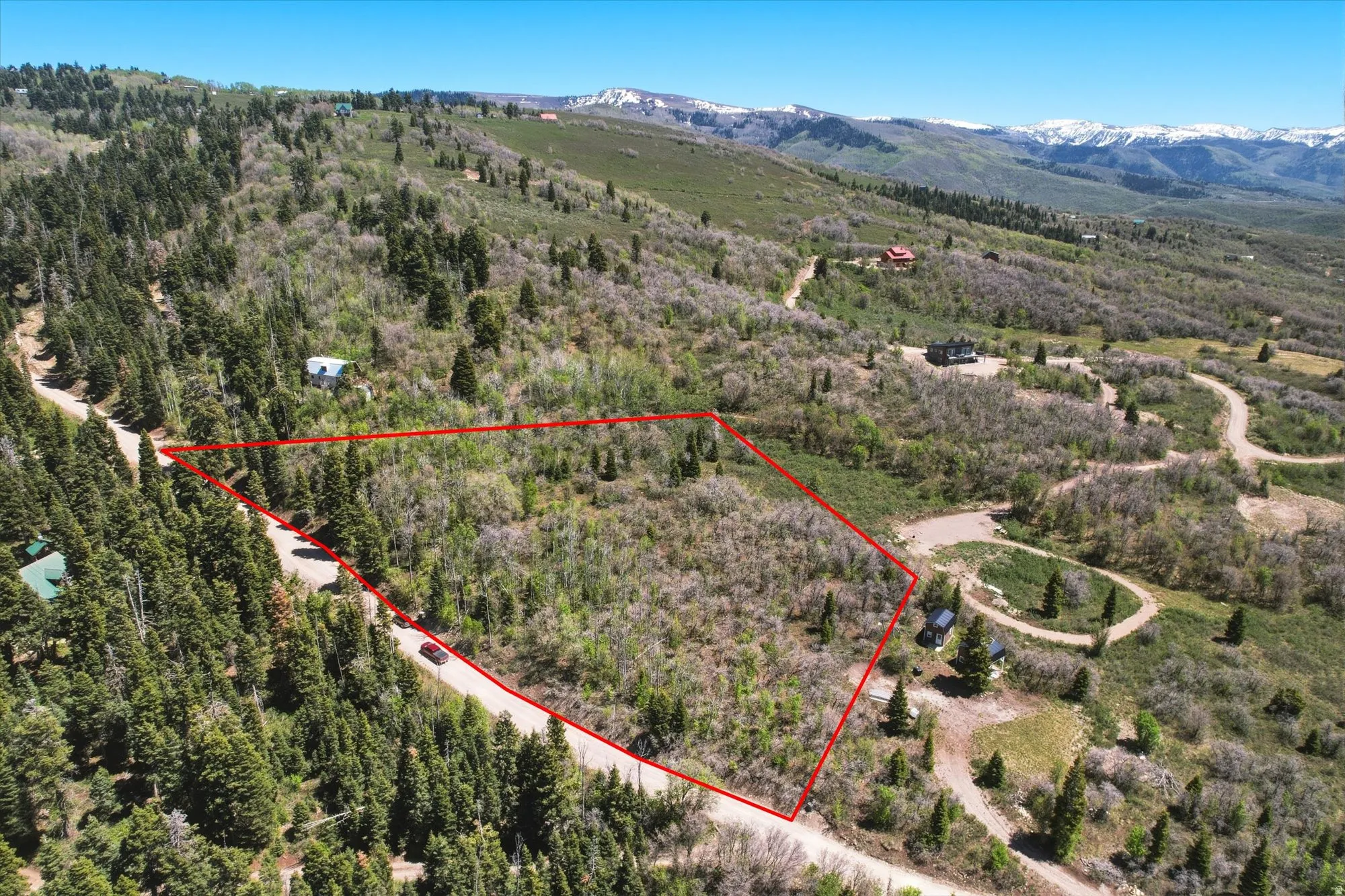 Expansive mountain property featuring mature evergreen trees and natural foliage