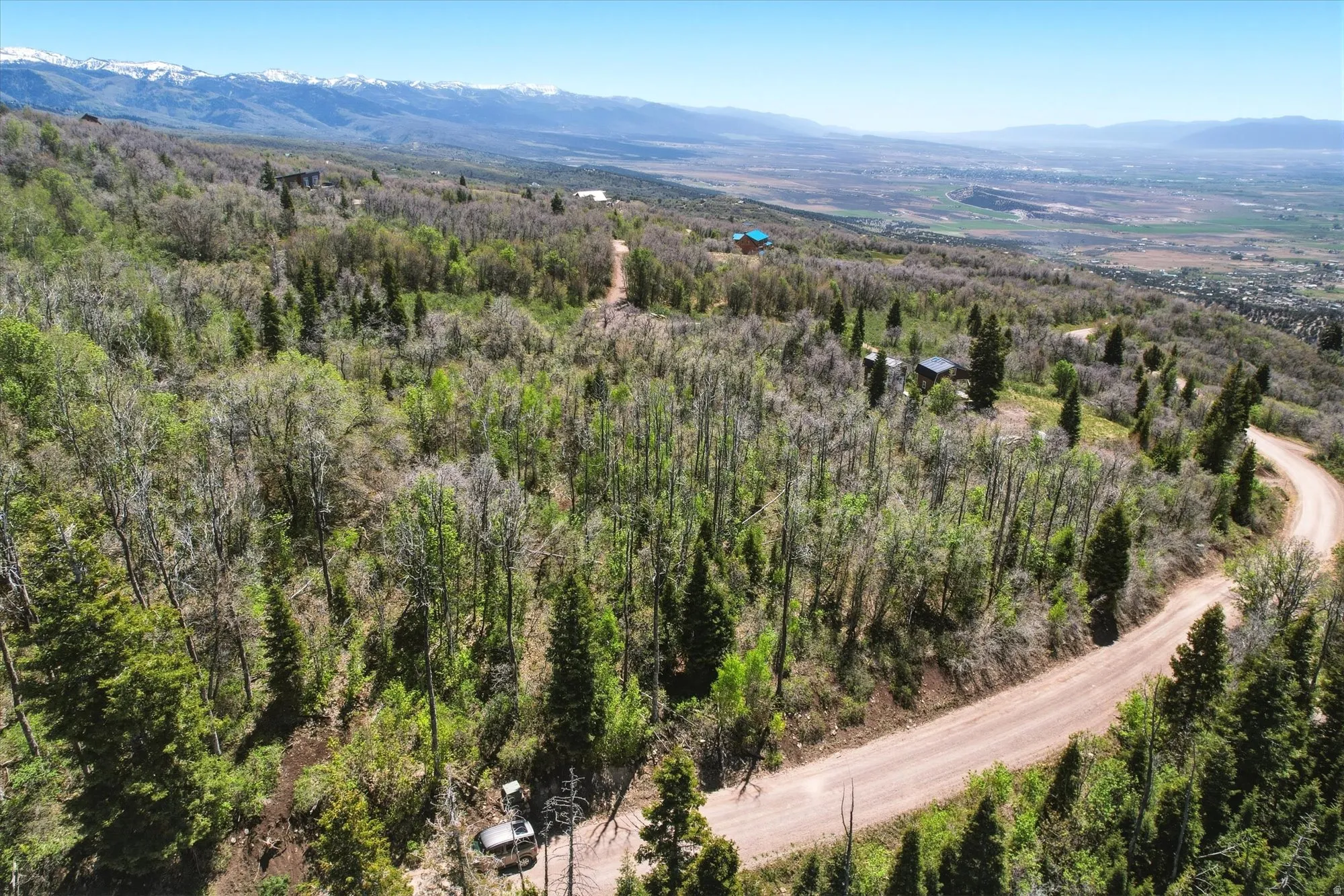 Expansive rural acreage featuring a winding dirt road and diverse tree cover