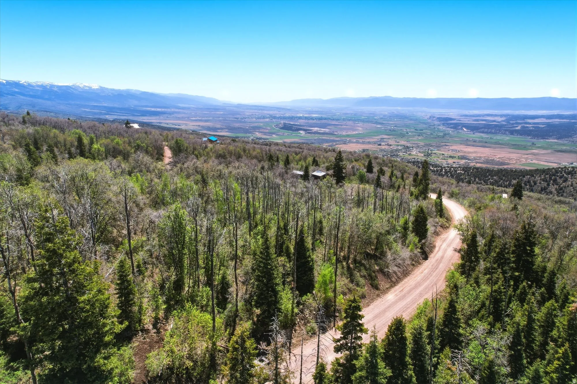 Expansive natural landscape featuring a winding dirt road and diverse tree canopy
