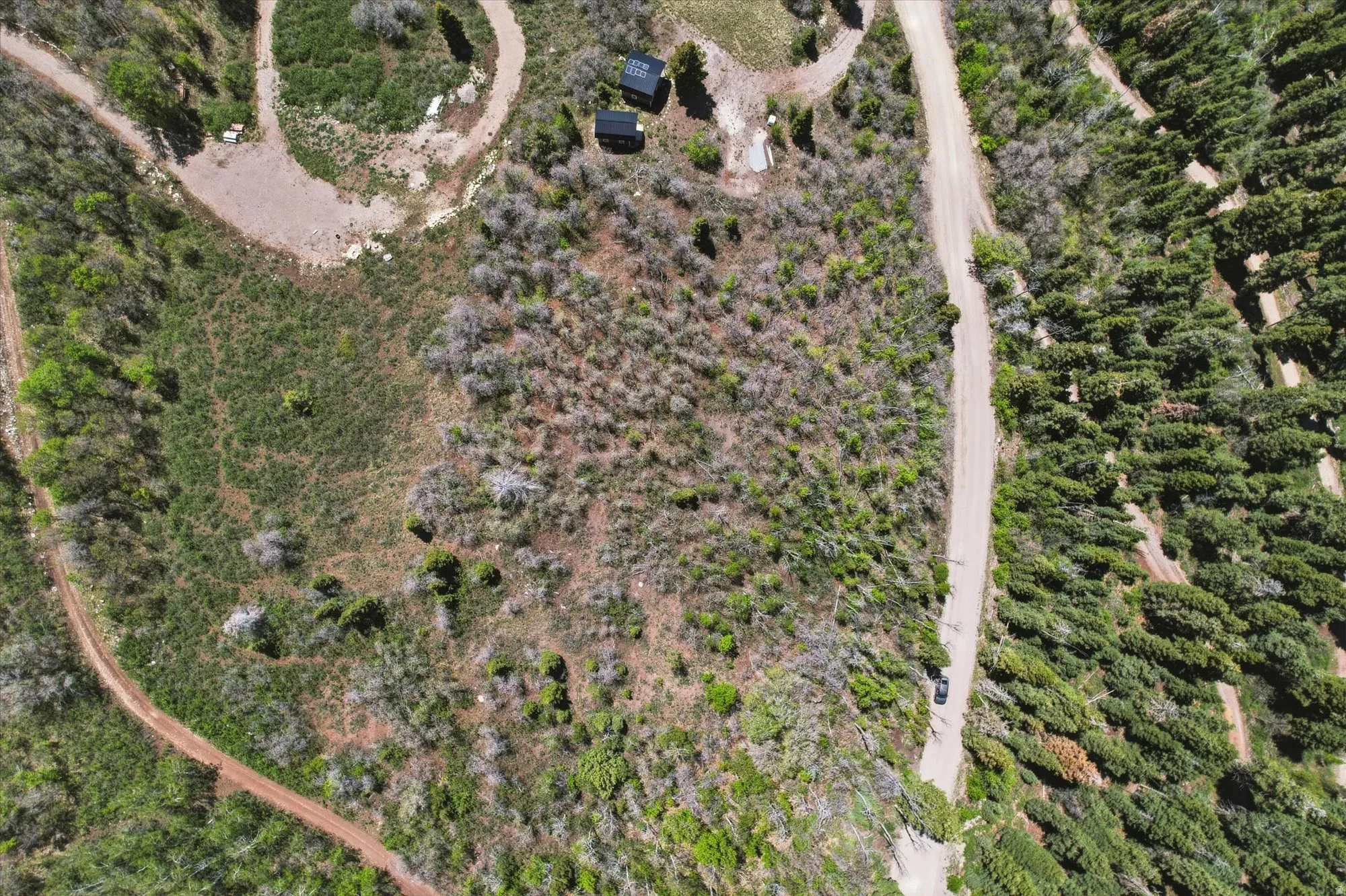 Expansive undeveloped land featuring natural foliage and a dirt road entrance