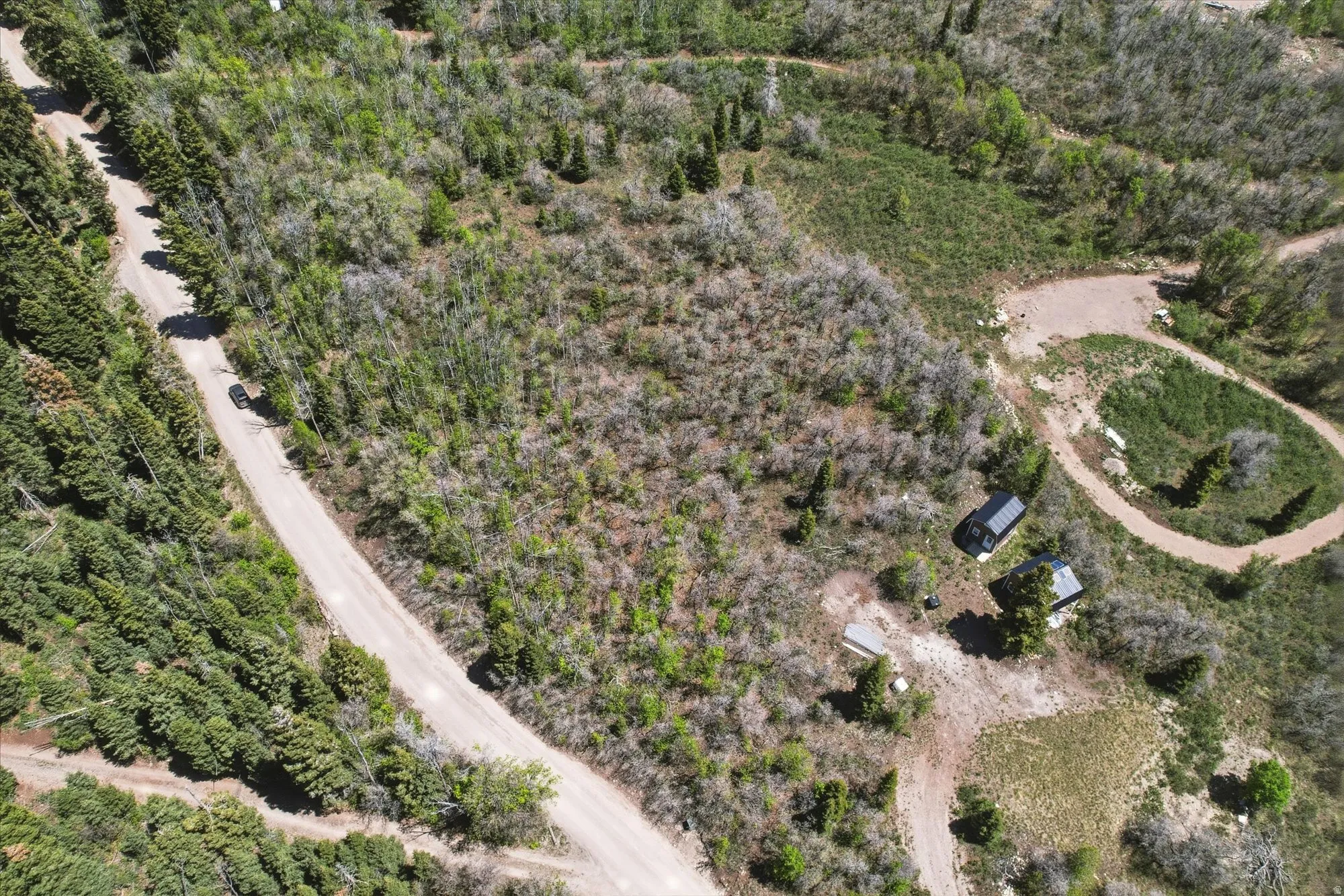 Expansive wooded parcel featuring a winding dirt road and several clearings