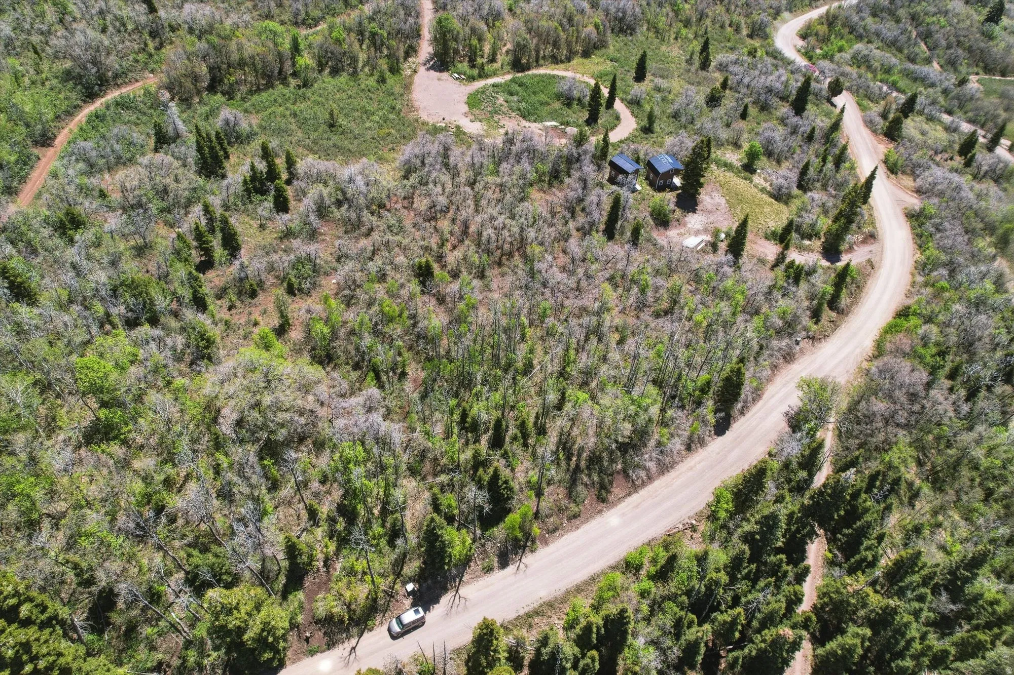 Expansive natural landscape featuring a winding dirt road and diverse tree coverage