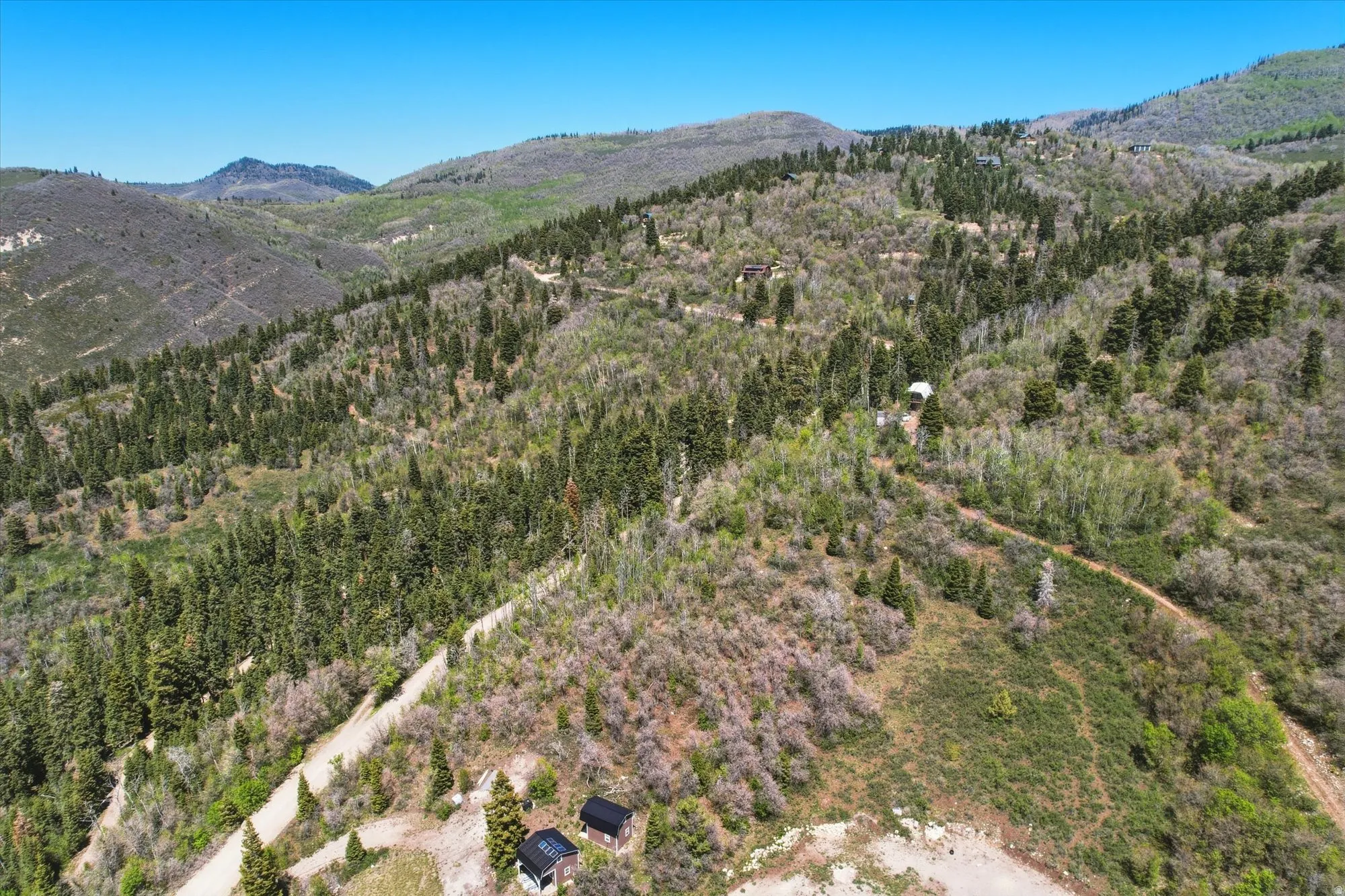 Expansive mountainous terrain featuring diverse evergreen and deciduous tree cover