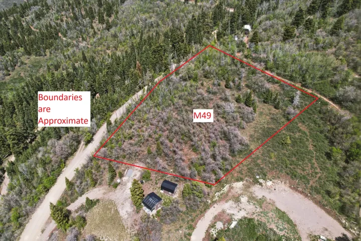 Aerial Site Plan. Depicting the approximate boundary of the property identified as M49