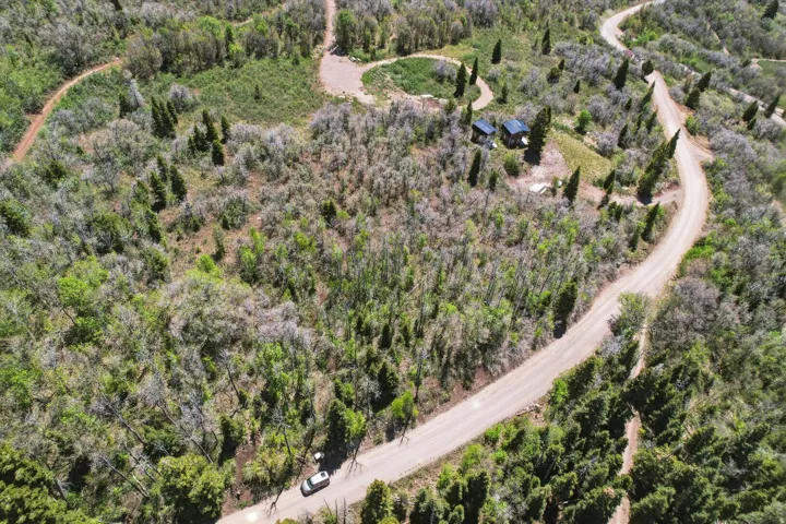 Expansive natural landscape featuring a winding dirt road and diverse tree coverage