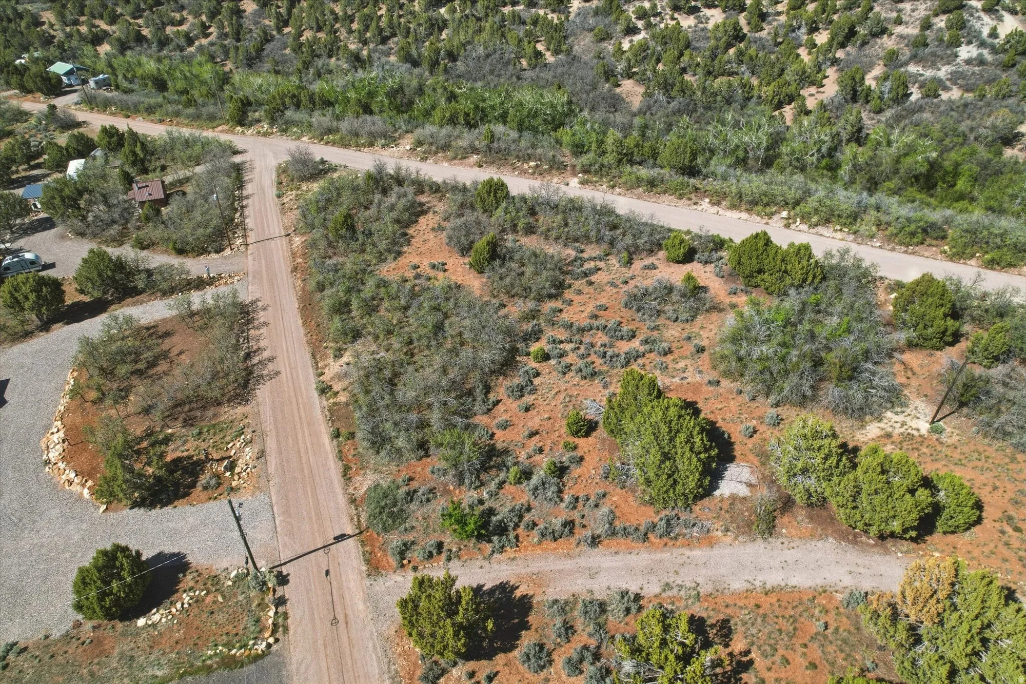 Expansive desert landscape with natural vegetation and multiple unpaved roads