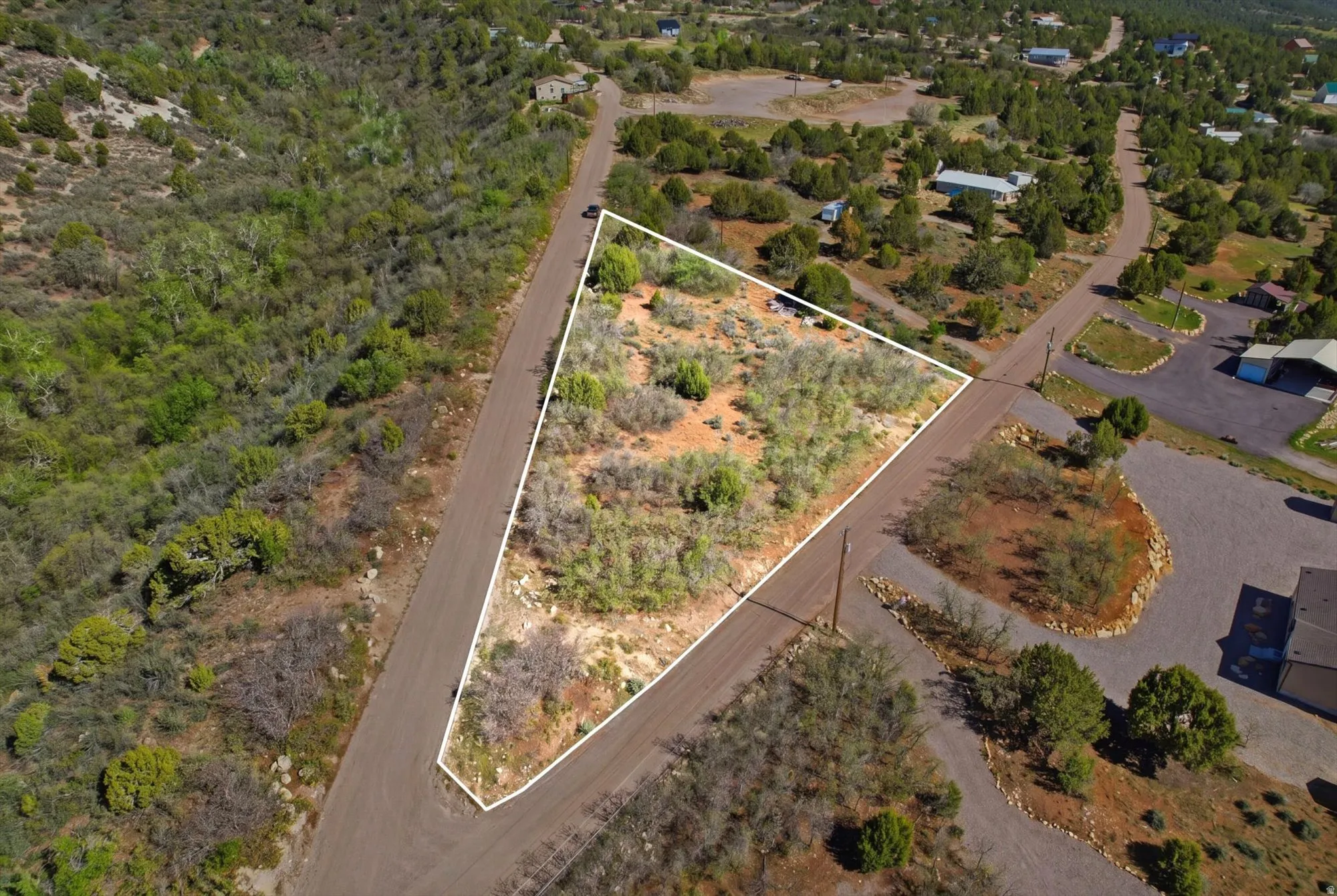 Expansive corner lot featuring varied natural vegetation and direct road frontage