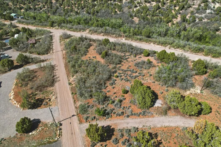 Expansive desert landscape with natural vegetation and multiple unpaved roads