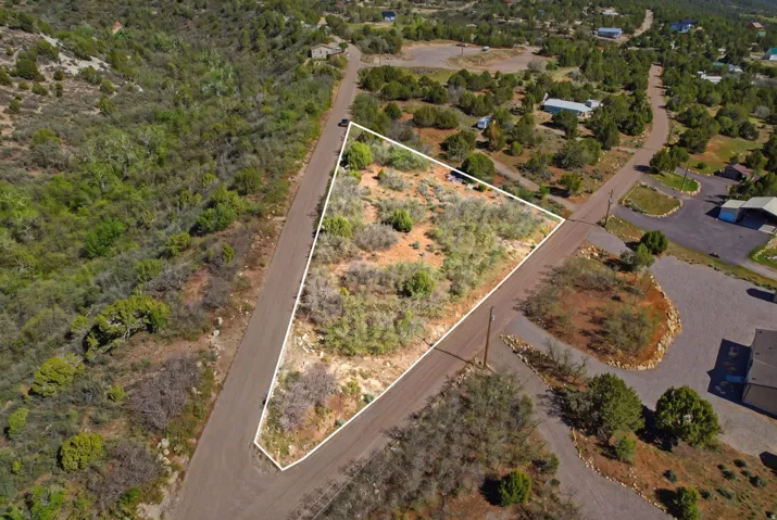 Expansive corner lot featuring varied natural vegetation and direct road frontage