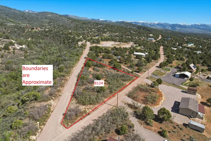 Expansive undeveloped lot featuring natural vegetation, bordered by a gravel road