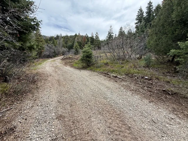 Gravel road with natural surroundings