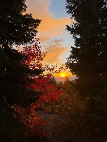 Vibrant autumnal foliage frames a sunset over a distant landscape