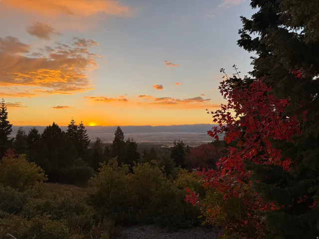 Expansive natural landscape featuring lush evergreen trees and vibrant autumn foliage