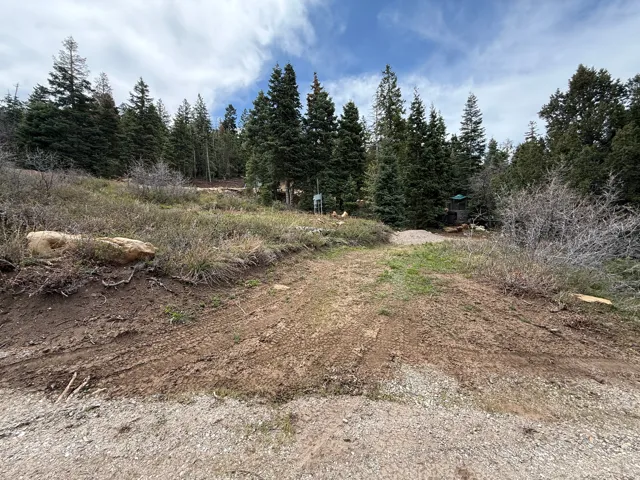 Natural, undeveloped terrain with a gravel-and-dirt path