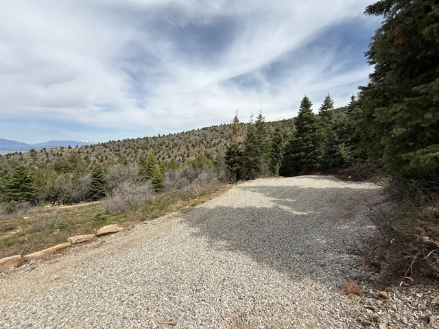 Gravel pad surrounded by dense evergreen trees and natural vegetation