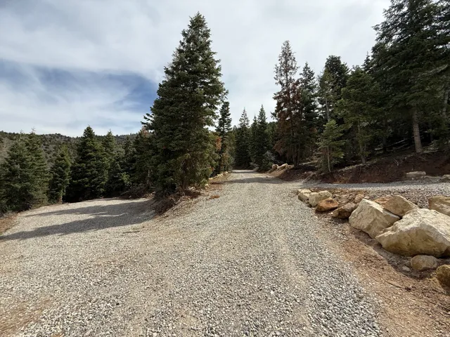 Gravel driveway surrounded by mature evergreen trees and natural rock formations