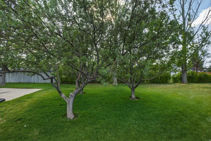 Expansive green lawn with mature trees providing natural shading