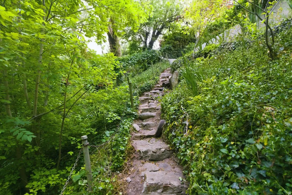 Stone pathway ascending through dense, verdant foliage