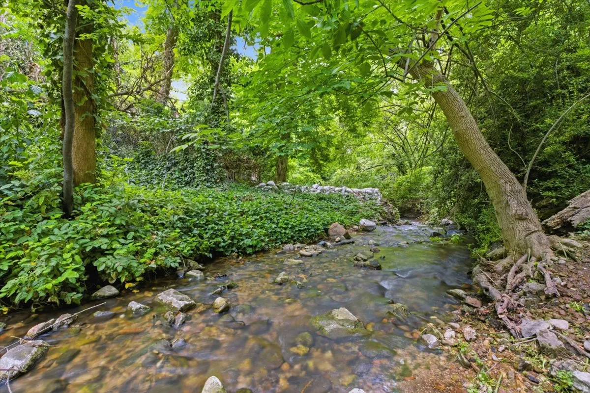 Natural waterway with clear, flowing water and visible riverbed stones