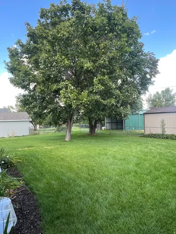 Expansive lawn with mature shade trees, garden beds, and chain-link fencing