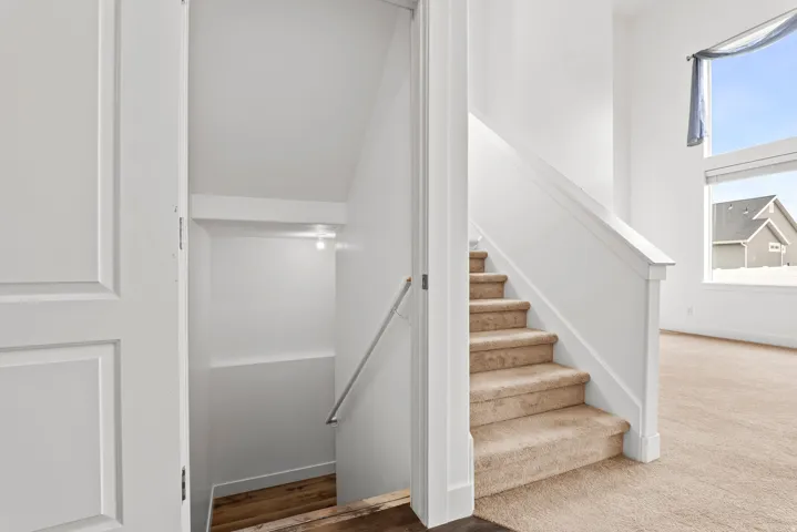 Carpeted staircase with white balusters and handrail
