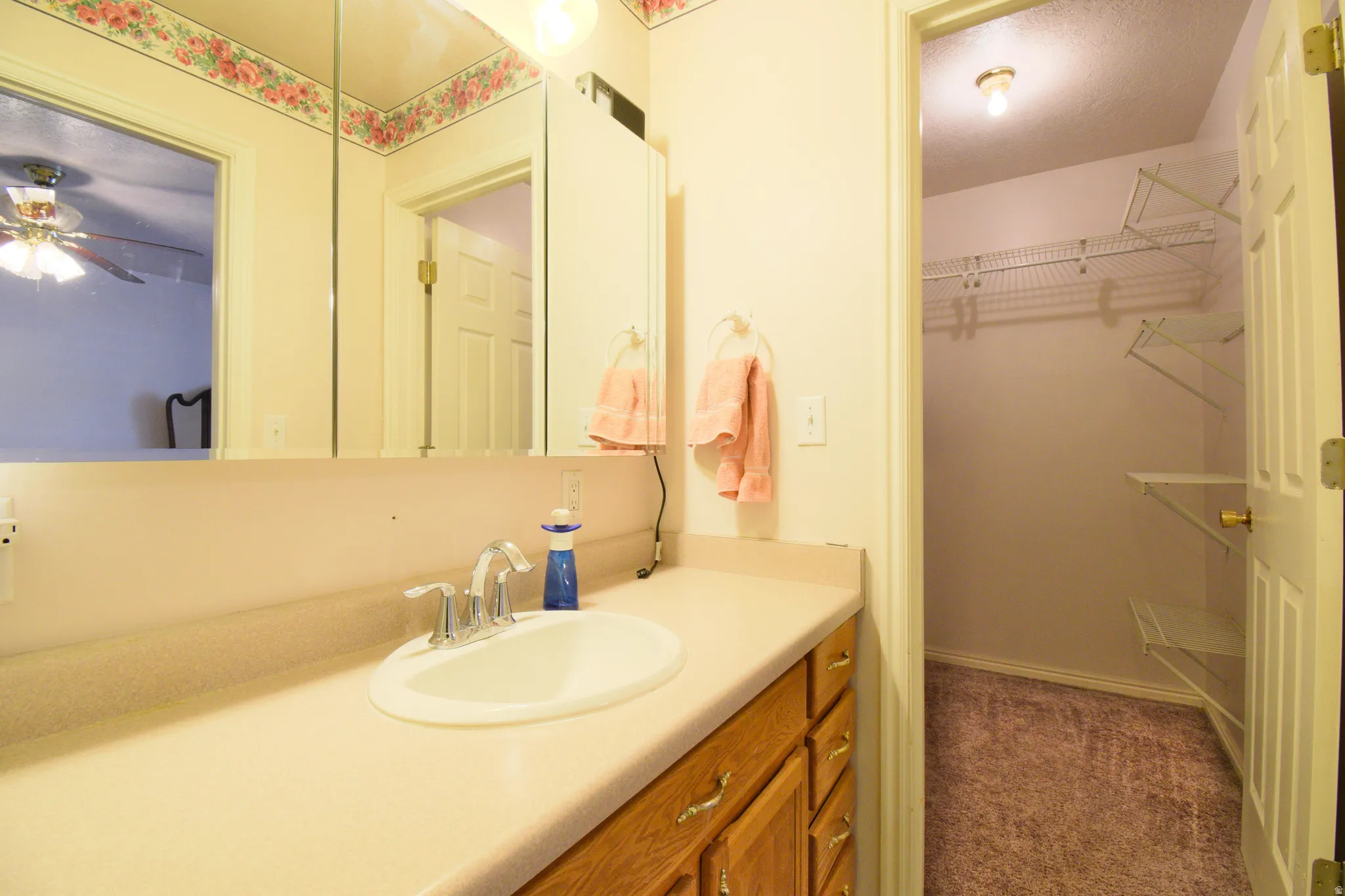 Bathroom vanity featuring a single basin sink and wood-finish cabinetry, with an adjacent walk-in closet offering wire shelving and carpet flooring